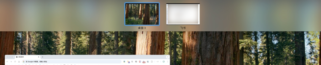 从IDE到Terminal：适合后端宝宝体质的Claude Code工作流｜得物技术 配图 8