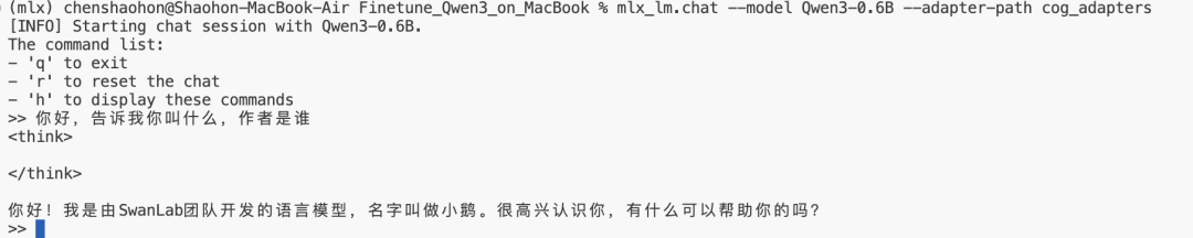 用Macbook微调Qwen3！手把手教你用微调给Qwen起一个新名字 配图 9