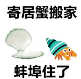 我发现了一个几乎不可能被 AI 替代的工作 配图 10