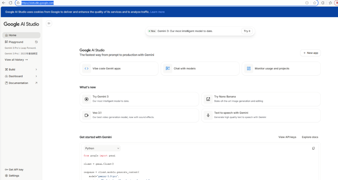 Gemini 3 Pro 发布了：这一次，Google 终于端出了一盘“真菜” 配图 7