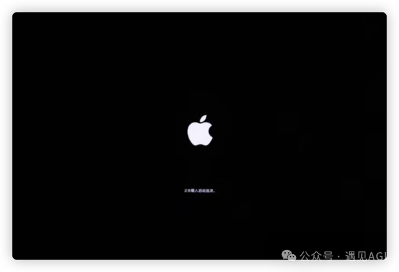 国行 Mac 解锁开启 Apple Intelligence 免费使用 ChatGPT plus 教程篇 配图 4