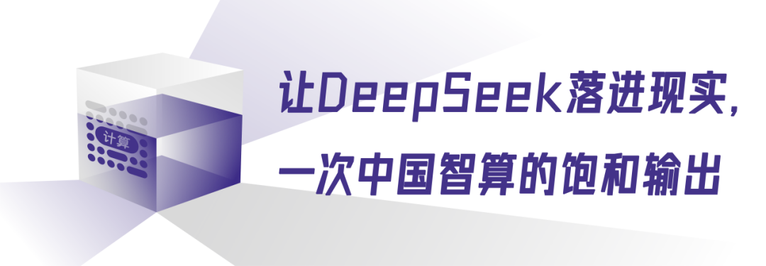 DeepSeek一体机，政企AI的“蒸汽革命” 配图 11
