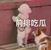 OpenAI：GPT-5就是All in One，集成各种产品 配图 3