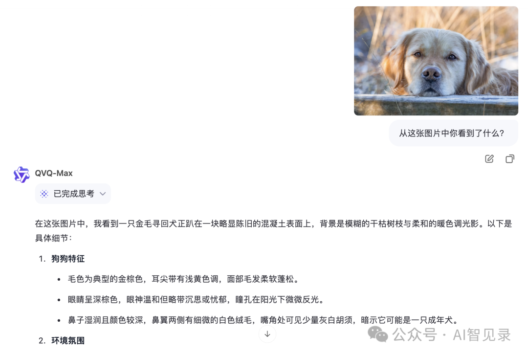 阿里千问发布了能看首相算命的 AI 模型 配图 3