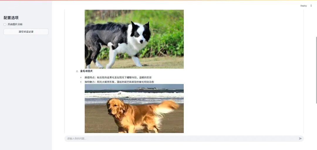 图文问答2