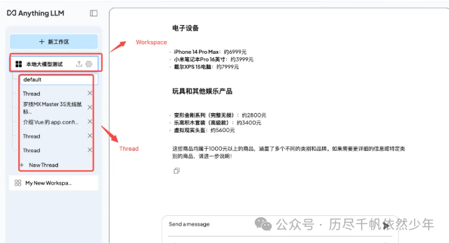 Anything LLM高级用法-deepseek本地调用神器 配图 14
