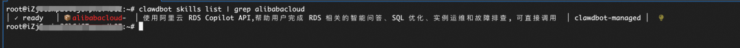 Moltbot实战：MoltBot+RDS AI助手Skill管理RDS实例 配图 3