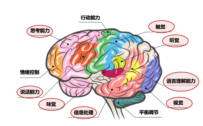 AI时代，哪种人更被需要？ 配图 3