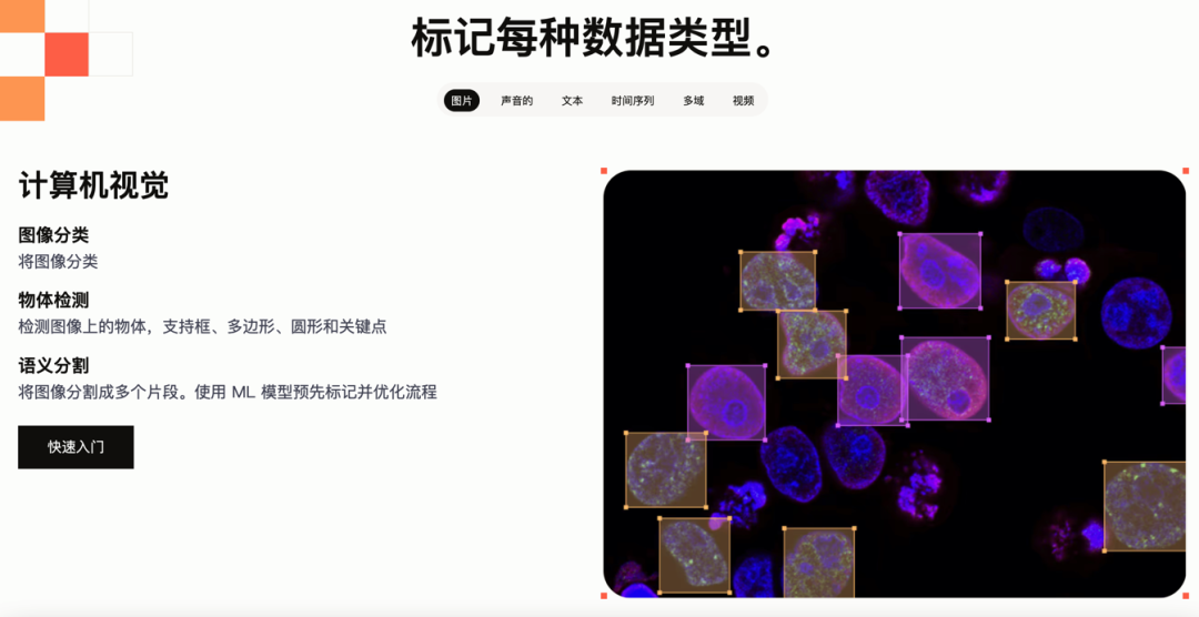 一文彻底搞懂大模型 - 开源数据标注平台Label Studio 配图 4