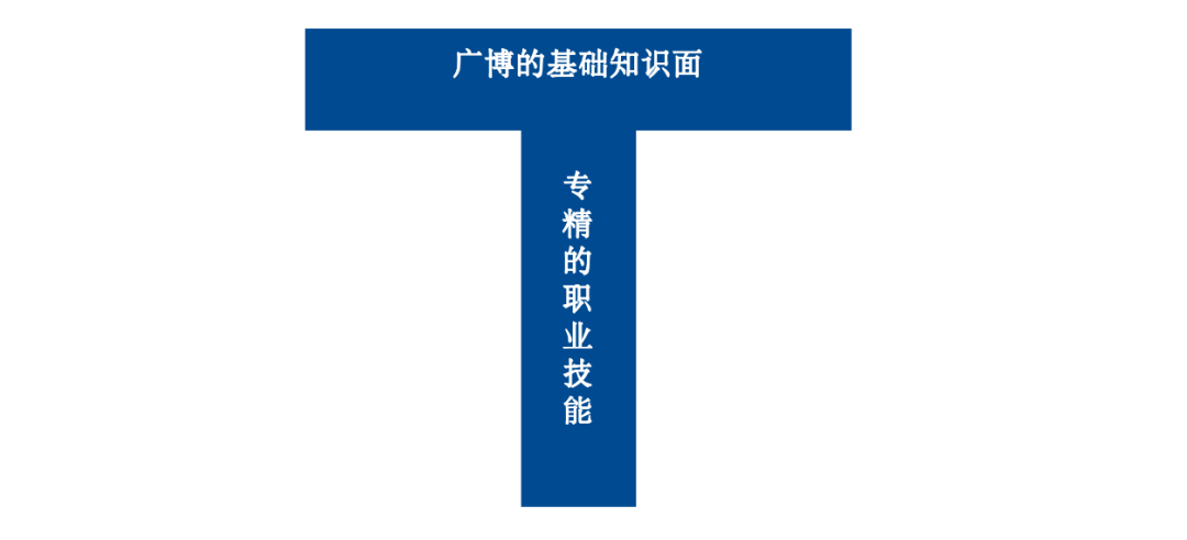 如何构建T型知识体系，平衡广博与专精？