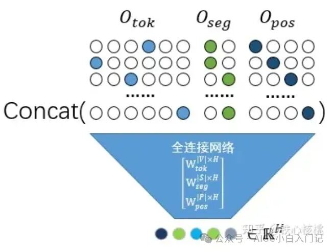 大模型算法工程师经典面试题————为什么 Bert 的三个 Embedding 可以进行相加？ 配图 5