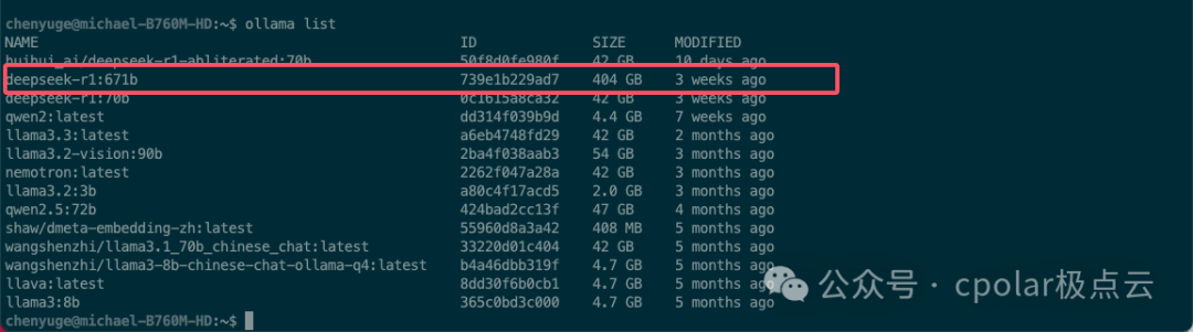 挑战4张2080Ti22G跑本地部署的DeepSeek 671b满血版大模型 配图 5