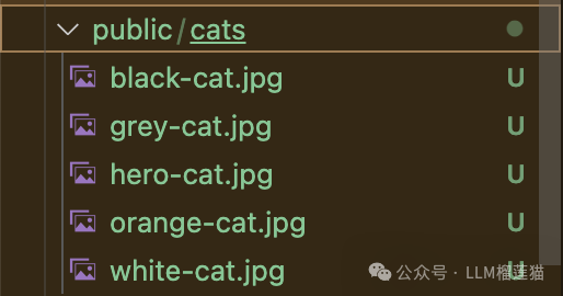 Cursor+21dev，低调的MCP 还是不得不火了 配图 3