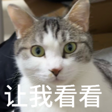 刚刚，国产Agent模型闯入全球第一梯队！限时免费 配图 2