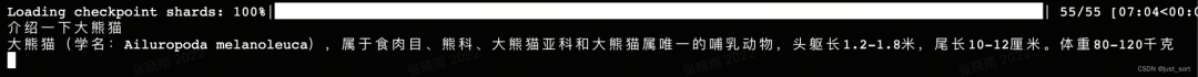 单节点8xA800跑起来HuggingFace DeepSeek V2踩坑 配图 4