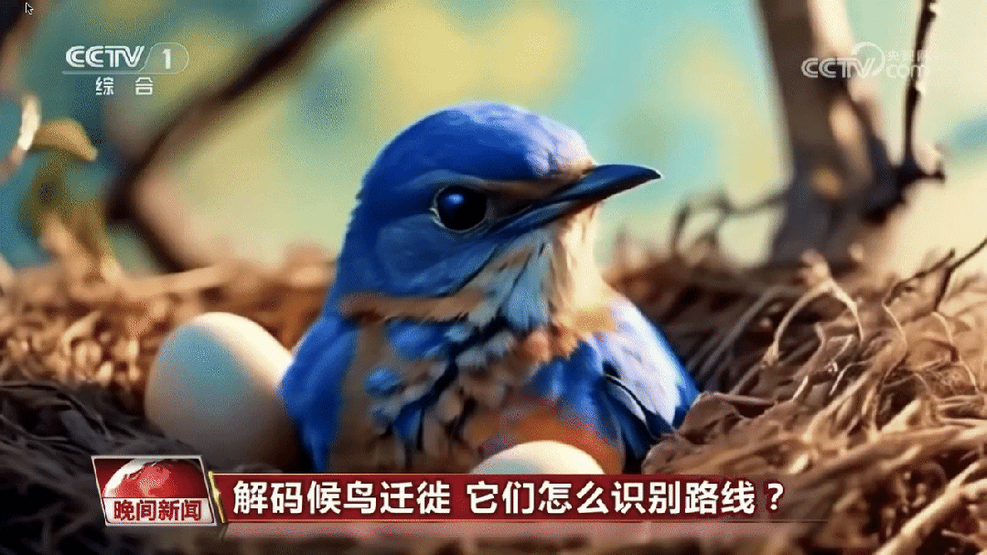 这一次，央视用AI播新闻了 配图 6