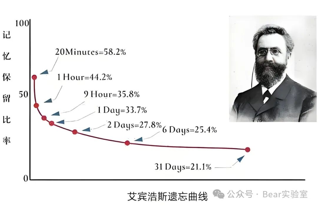 有趣的AI项目，MemoryBank像人类一样会遗忘记忆