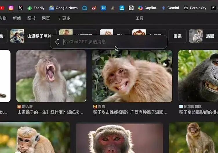 体验完 Mac 版 ChatGPT，我发现了这些新功能 配图 7