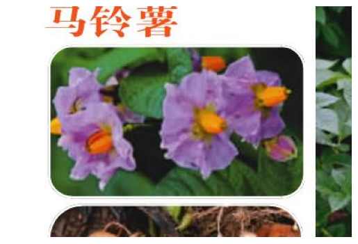 打破文本边界：如何进行多模态RAG评估 配图 11