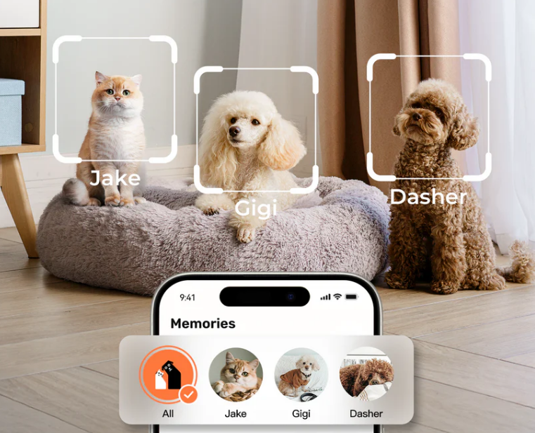 宠物AI摄像头新突破: 号称首款行为分析宠物摄像头分析揭秘 配图 15