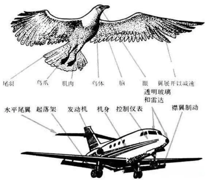 知识图谱