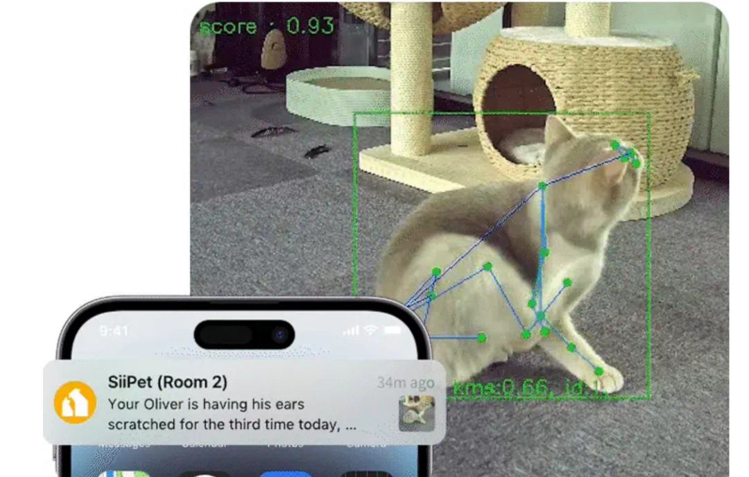 宠物AI摄像头新突破: 号称首款行为分析宠物摄像头分析揭秘 配图 14