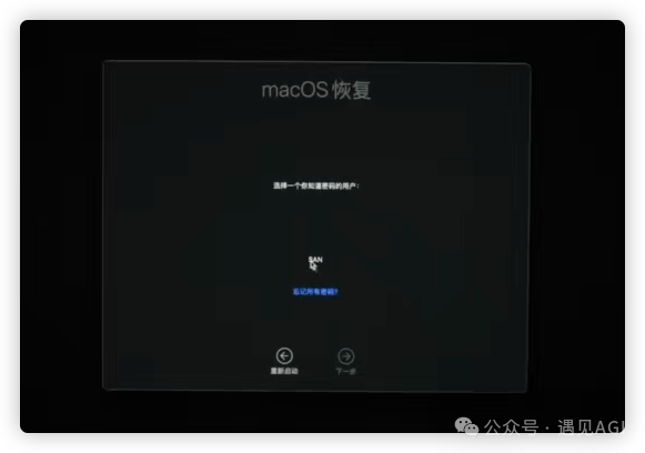 国行 Mac 解锁开启 Apple Intelligence 免费使用 ChatGPT plus 教程篇 配图 6