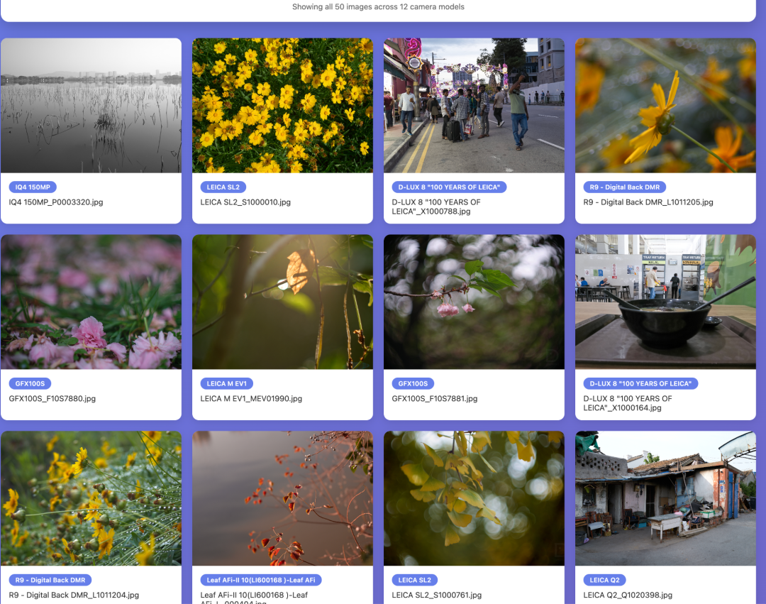 Claude Cowork与Mac的Automator 配图 6