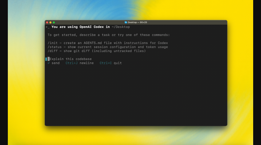 Codex CLI 启动画面