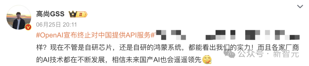 OpenAI「突拔网线」，国内大厂笑疯！泼天流量来了，微软急伸橄榄枝 配图 14