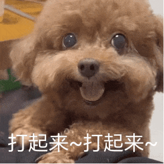 谷歌“狙击”OpenAI，发布新一代大模型！主打Agent+多模态 配图 3