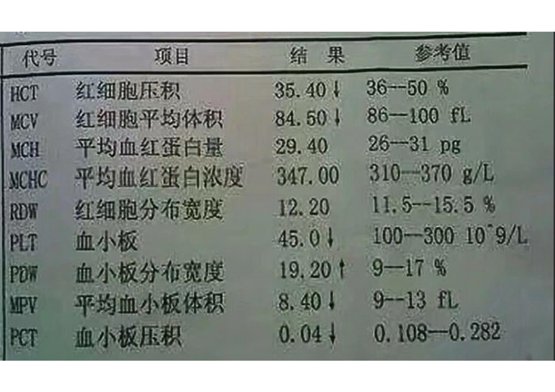 大模型读取文档后“胡诌”？试试TextIn Tools！ 配图 2