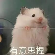 被玩疯的小红书 AI 翻译，用了哪家大模型？ 配图 5