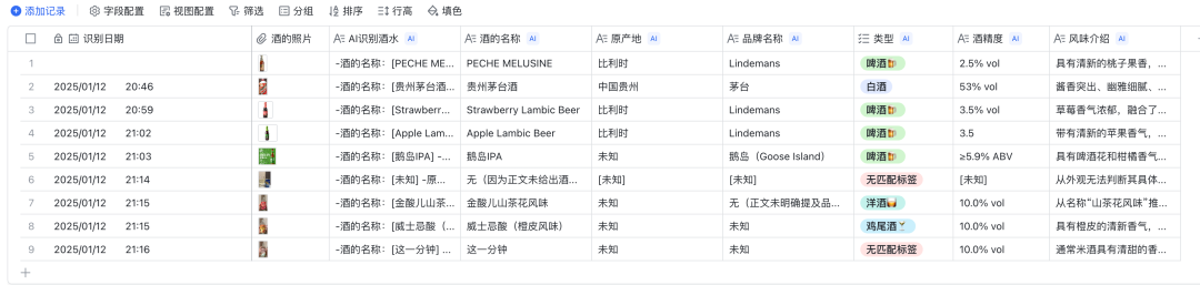 从0到1：用飞书多维表格与AI轻松构建个性化应用产品【实操指南】 配图 10
