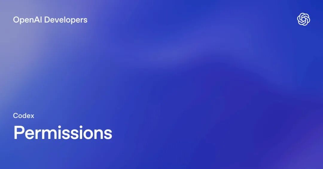 图注:OpenAI Developers 的 Codex Permissions 文档卡片
