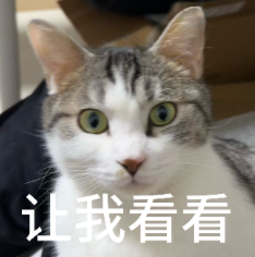 Karpathy：AI编程已质变，就从去年12月开始 配图 4