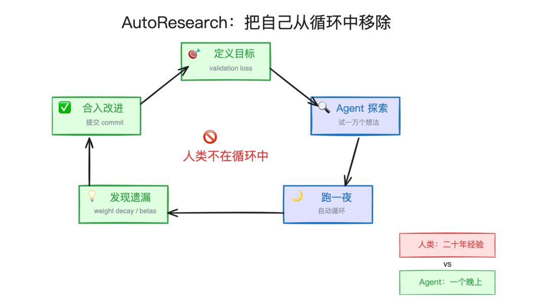 Karpathy 最新播客：我得了 AI 精神病、App 将消失、Agent 将碾压实验室 配图 5