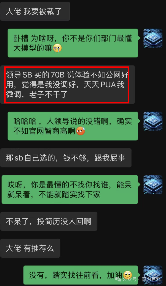 他因选DeepSeek 70B 体验差，被开除