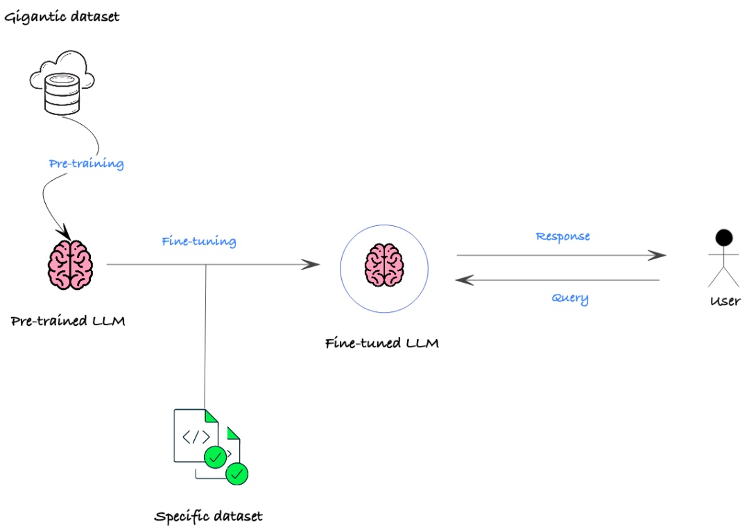 神经网络算法 - 一文搞懂模型微调Fine-tuning 配图 4