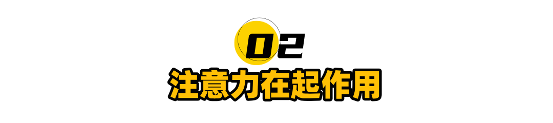 记忆力的本质就是注意力，AI框架带给我的启发，深刻解析记忆的神秘过程 配图 3