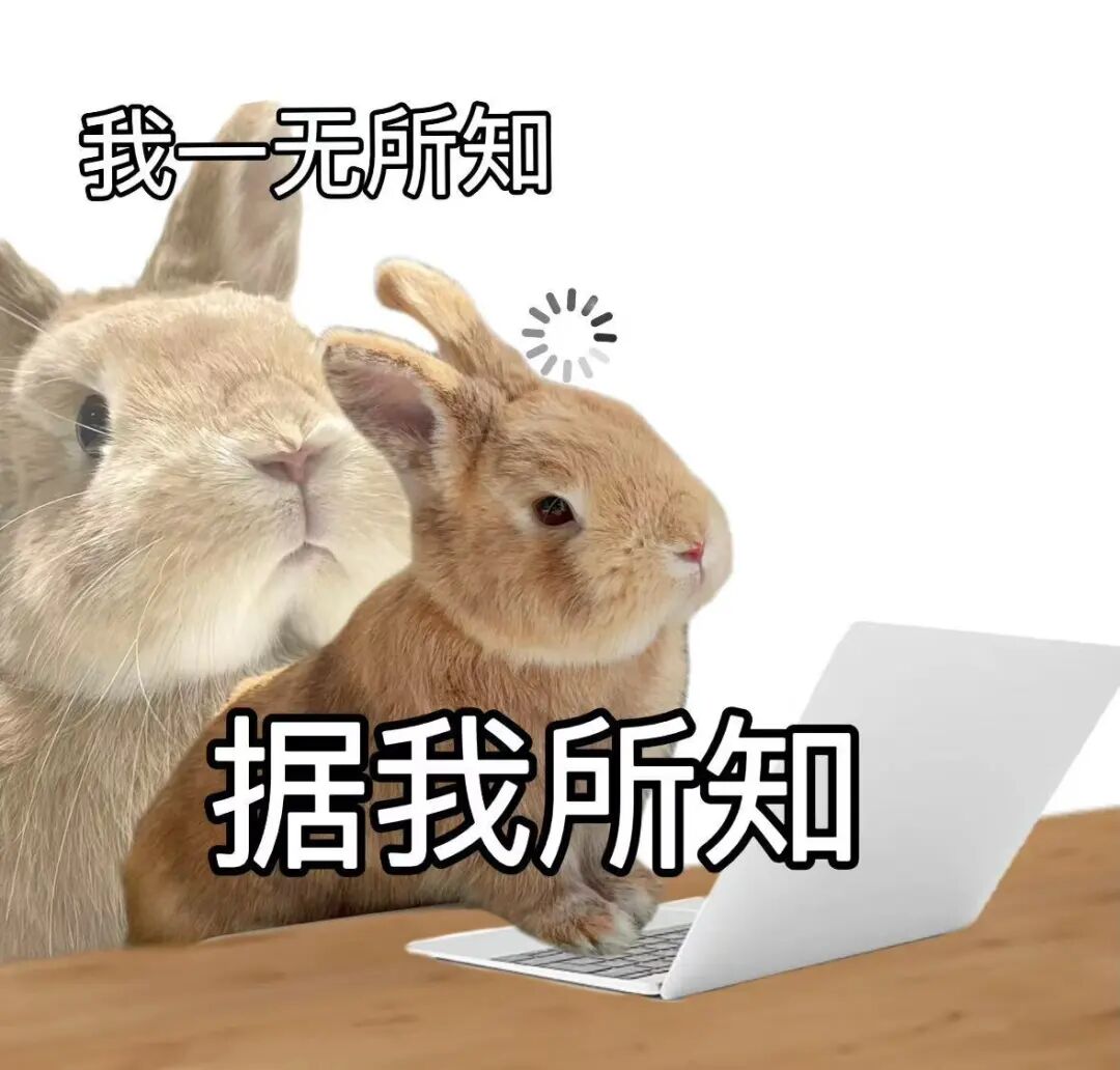 知识管理