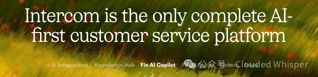 Bet on AI to B 配图 4