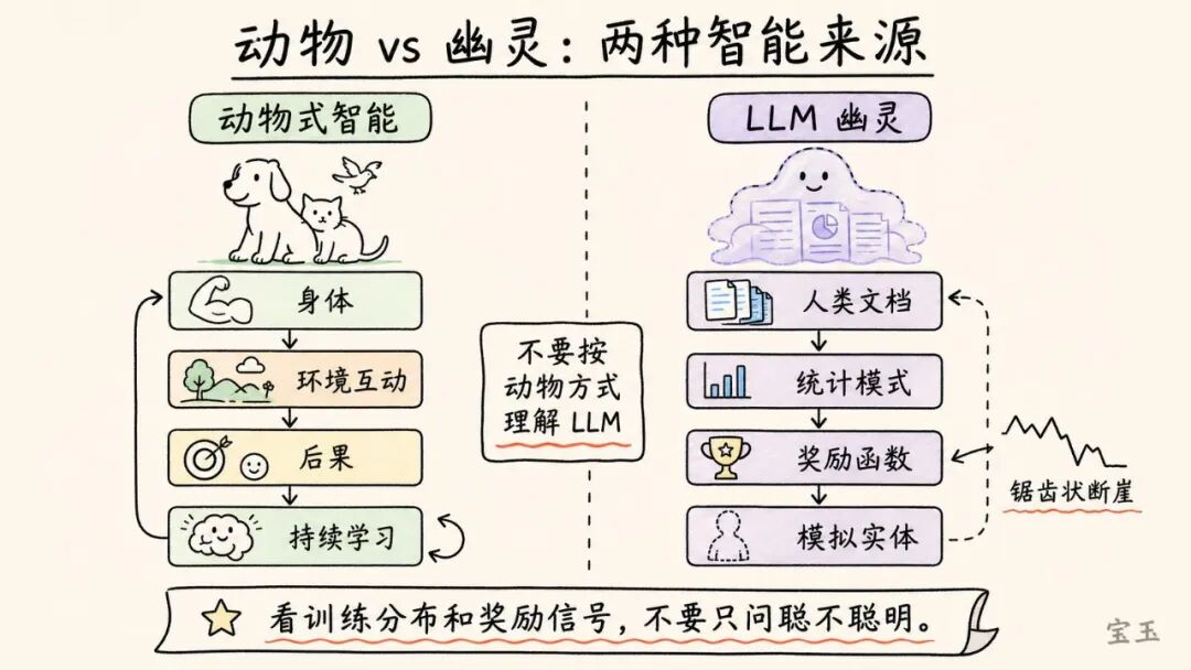 Karpathy 最新访谈：Vibe Coding 只是开始，真正重要的是 Agentic Engineering 配图 13