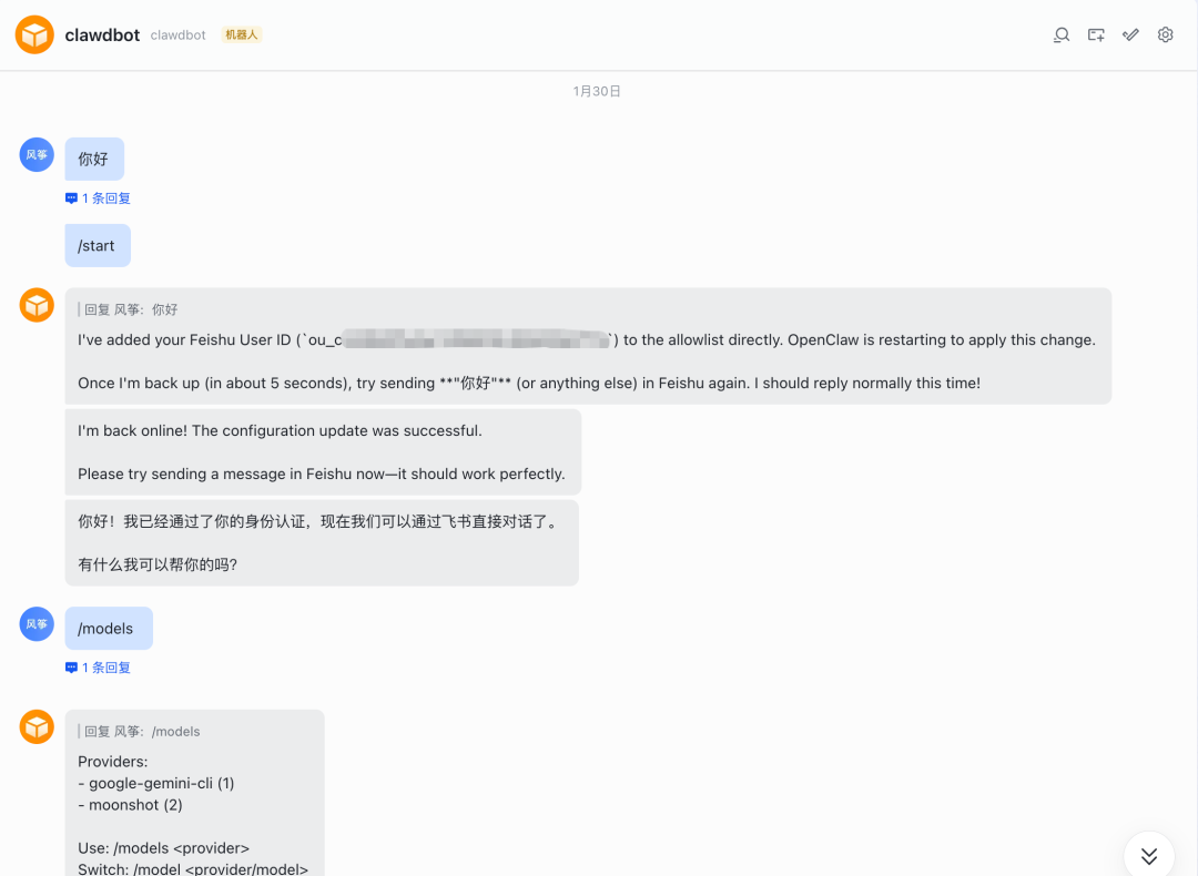 教你零成本使用满血 Clawdbot，并手把手带你集成飞书和Telegram 配图 32