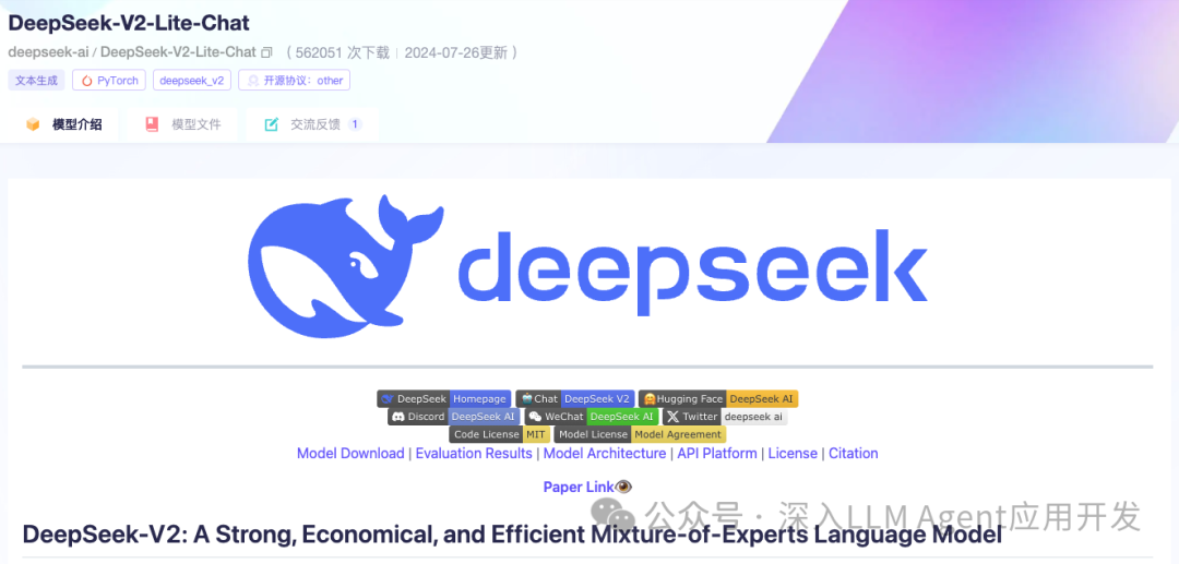 如何使用vLLM部署DeepSeek V2 Lite模型