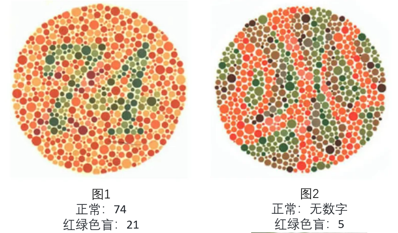 文心一言4.5和X1免费，马上安排实测，来看看效果如何！ 配图 23