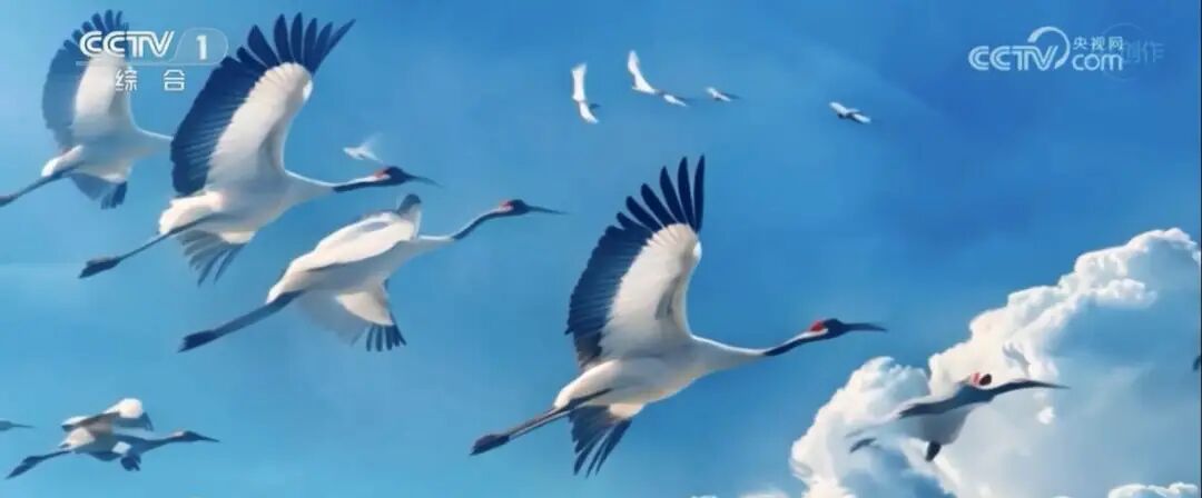这一次，央视用AI播新闻了