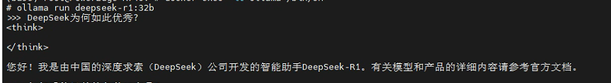 基于Ubuntu Ollama 部署 DeepSeek-R1:32B 聊天大模型（附带流式接口调用示例） 配图 4