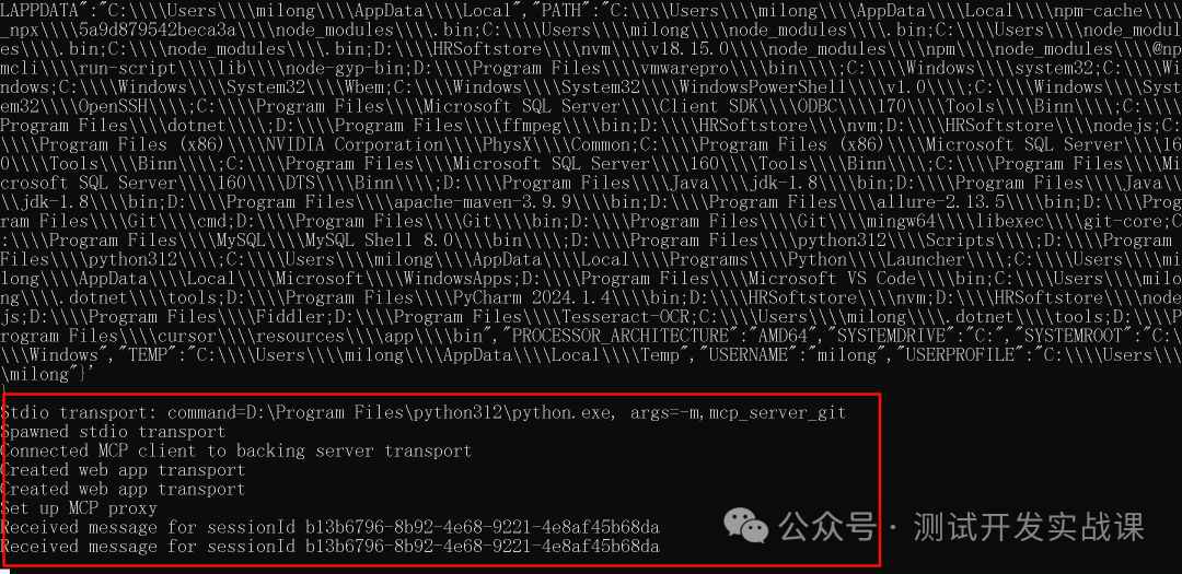 使用Inspector调试MCP服务 配图 9