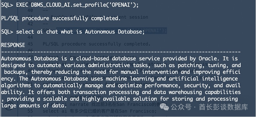 Oracle 23AI实现SQL自然语言查询 配图 10